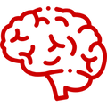 Cerveau