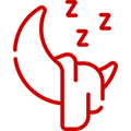 Sommeil/stress